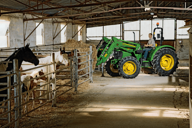image john deere tractor and cattle